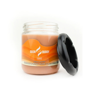 Odor Buddy Candle and Ashtray 12oz Coconut and Melon Kush